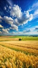 Panoramic aerial view of a rolling green field with golden wheat and corn stalks swaying in the breeze