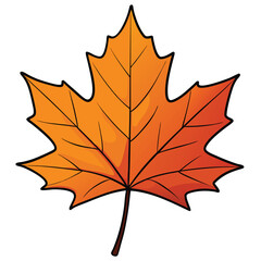 maple leaf isolated on white