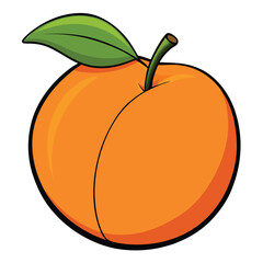 orange vector illustration