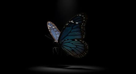 Realistic 3D Rendered Detailed Blue Winged Monarch Butterfly On Black Background
