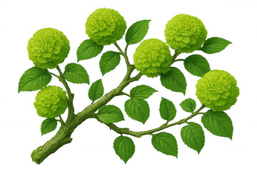 Vibrant green flowers blooming on a branch with lush leaves, isolated on a transparent background, perfect for nature-themed designs