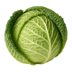 Fototapeta premium Fresh green savoy cabbage isolated on black background healthy vegetable food ingredient