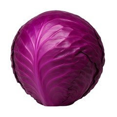 Fototapeta premium A vibrant purple cabbage isolated on a black background showcasing its intricate leaf structure and rich color