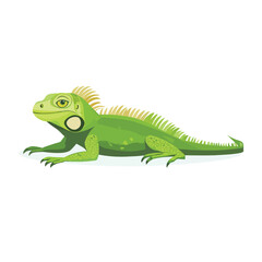 Obraz premium Detailed Green Iguana Illustration with Spikes and Distinctive Yellow Eye