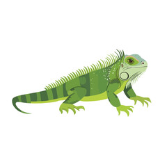 Obraz premium Detailed Green Iguana with Spikes and Patterned Skin Standing in Profile