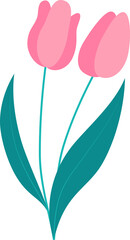 Obraz premium two natural pink tulip element