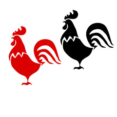 rooster isolated on white background
