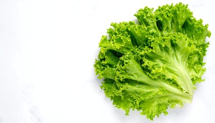Fresh green lettuce leaves on white background
