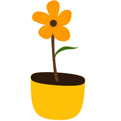 yellow flower in a pot