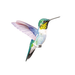 Fototapeta premium Watercolor hummingbird gracefully hovering with vibrant iridescent feathers on plain setting