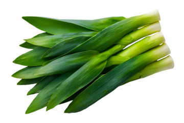 Fresh Green Leeks Bundle Isolated Black Background