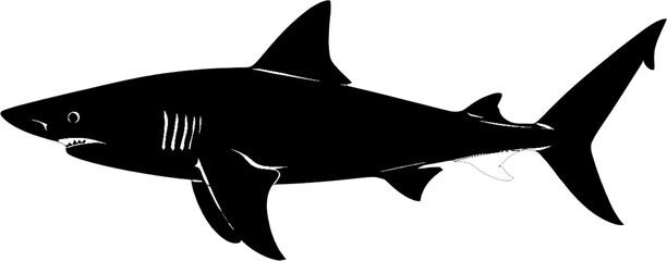 A sleek black shark silhouette with menacing teeth and fin details, perfect for marine and ocean themes.