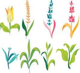 Beautiful colorful floral collection with  flowers, leaves, floral bouquets, flower compositions.Illustration of nature spring and summer in garden.