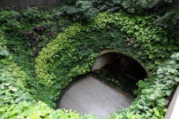 Inner courtyard, lush greenery walls