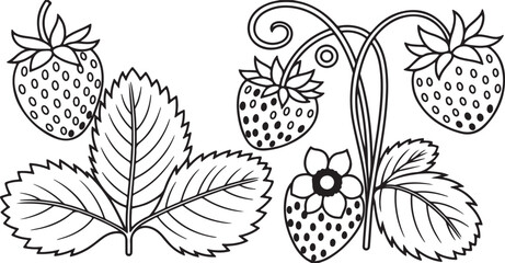 "Strawberry Plant and Flower Silhouettes - Black and White Nature Illustration"