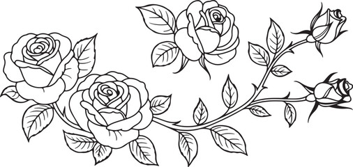 Fototapeta premium Rose Flower Silhouettes - Black and White Elegant Floral Illustrations