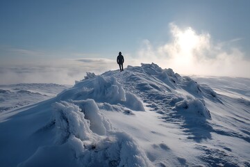 A lone person stands atop a snow-covered hill, gazing at the bright sky in the vast winter landscape, embracing solitude and tranquility.