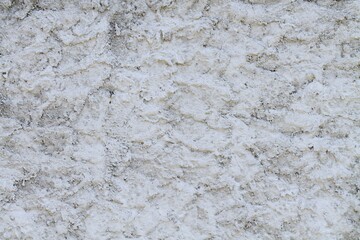 Close-Up Texture of Rough White Surface with Details and Fine Patterns