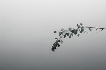 Eucalyptus branch dips into the water, creating ripples in the g