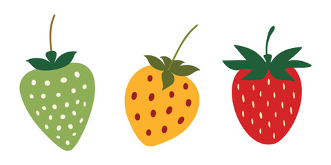 Illustration of three strawberries in different colors, green, yellow and red with seeds. Vector Illustration.