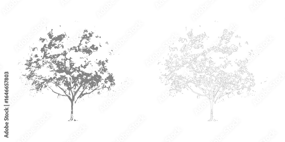 Poster isolated vector of gray silhouette tree and tree outline sketch. botanical elements vector art.