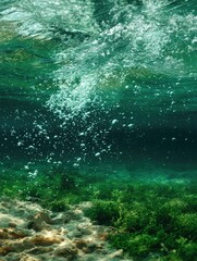 Underwater scene of bubbly water and seaweed