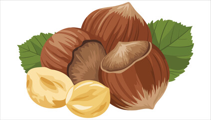cartoon chestnut character vector icon isolated white