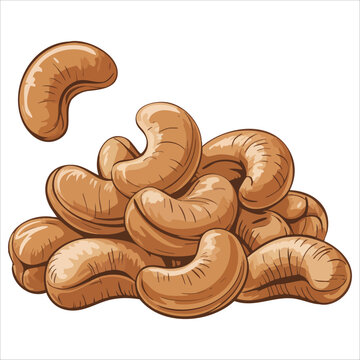 minimal cashew nut product vector icon isolated white