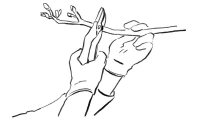 名称未設定のアートワーク