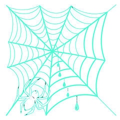 Neon Spider Web with Dew Drops &ndash; Delicate Halloween Vector Illustration. Perfect for: Halloween decorations, spooky branding, digital Halloween art