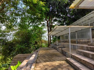 Outdoor tiered seating area with canopy roof, surrounded by lush greenery and forest trees. A relaxing open-air environment for gathering, studying, or enjoying nature in a serene setting.