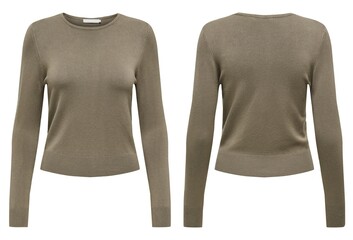 Stylish warm female sweater on white background.
womens winter dress and knitted dress
