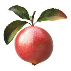 Fresh pink guava fruit with leaves isolated on transparent background