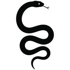 black and white snake