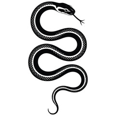 black and white snake