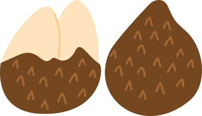 Snake Fruit peeled and whole illustration