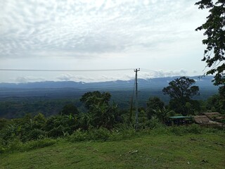 Verdant Horizon A Panoramic Vista of Nature's Splendor IMG_20250605_085734.jpg