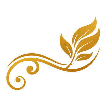 Elegant gold leaf flourish with swirls