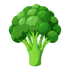 broccoli on a white background