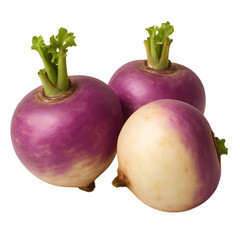 Three fresh purple top turnips isolated on black background healthy food vegetable harvest agriculture farming