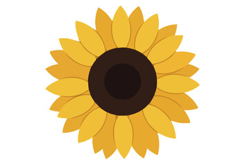 stylized sunflower illustration with a dark center set against a light blue background -Freedom Bloom Beauty- text overlay Clean modern design ideal for branding and backgrounds