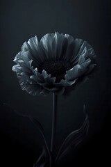 Dark Floral Elegance Moody Black Flower on Dramatic Background