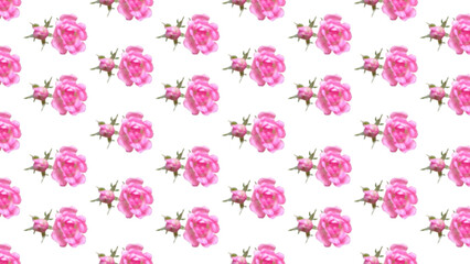 Seamless pattern of pink roses with green sepals on a white background, creating a romantic and elegant floral design for decoration or fabric prints.