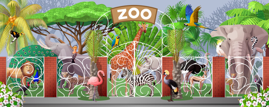 vector cartoon zoo animals and plants illustration.