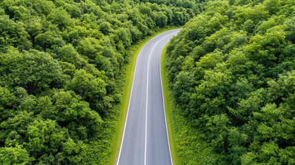 Winding road through lush green forest landscape creates serene and peaceful atmosphere