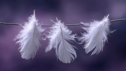 Delicate white feathers on a thin wire, soft focus background