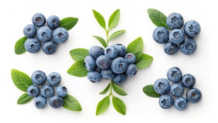 Five clusters of fresh blueberries with green leaves isolated on white background