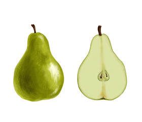 drawing fruit, whole green pear and half isolated at white background, hand drawn illustration