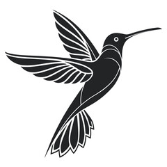 Obraz premium hummingbird on a branch