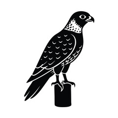 bird on a white background